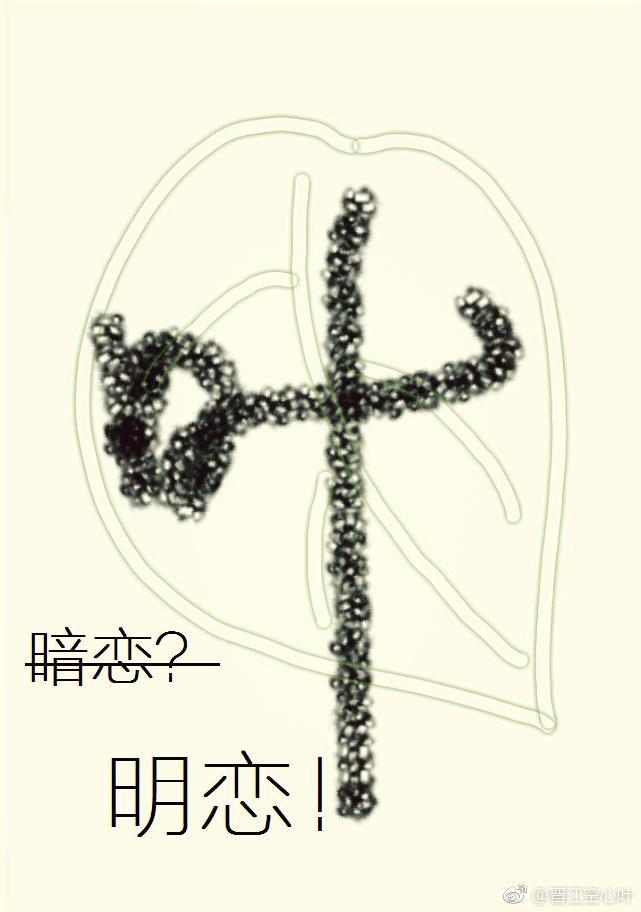 暗恋不如明恋