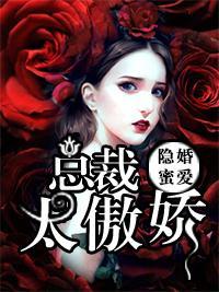 隐婚蜜爱:总裁太傲娇