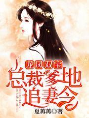 龙凤双宝：总裁在线追妻
