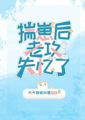揣崽后老攻失忆了