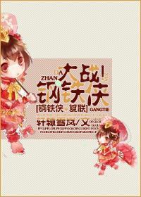 [钢铁侠]大战！钢铁侠