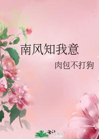南风知我意