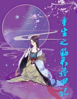 重生之昭君种田记