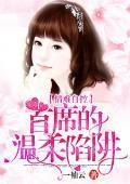 情难自控:首席的温柔陷阱