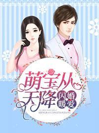 闪婚暖爱:萌宝从天降