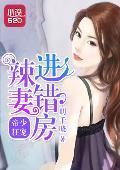 帝少狂宠：辣妻进错房