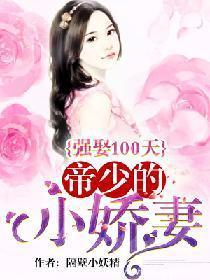 强娶100天:帝少的小娇妻