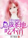 悍宝辣妈:总裁爹地吃不消