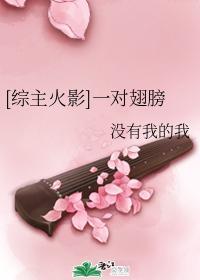 [综主火影]一对翅膀