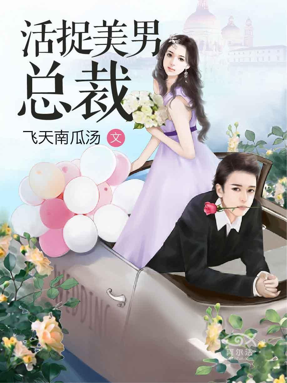 活捉美男总裁任意意安译