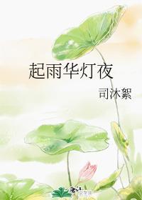 起雨华灯夜