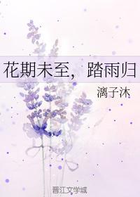花期未至，踏雨归