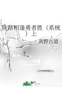 狭路相逢勇者胜(系统)上