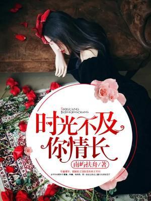 时光不及你情长