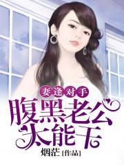 妻逢对手:腹黑老公太能干