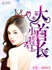 大首长,小特工