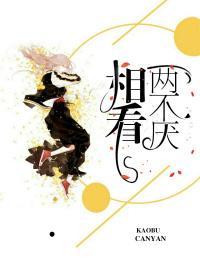 相看两不厌