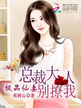 极品仙妻:总裁大人别撩我