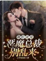 甜心涩爱,恶魔总裁别乱来