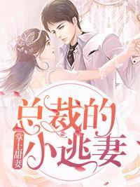 掌上甜妻:总裁的小逃妻