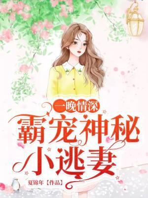 一晚情深:霸宠神秘小逃妻