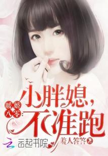 暖婚八零:小胖媳,不准跑