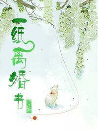 一纸离婚书
