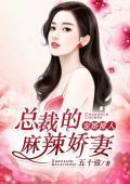 宠婚撩人:总裁的麻辣娇妻