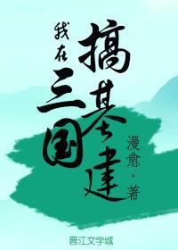 我在三国搞基建