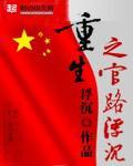 重生之官路浮沈