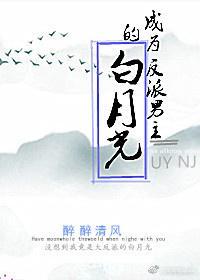 成为反派男主的白月光