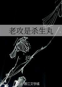 老攻是杀生丸