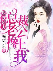 甜宠娇妻:总裁老公搀上我