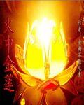 火中金莲