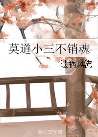 莫道小三不销魂