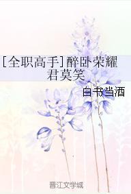[全职高手]醉卧荣耀君莫笑
