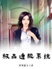 极品透视系统