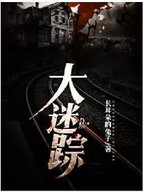 大迷踪