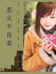 惹火不良妻