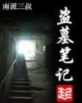 盗墓笔记（出书版）