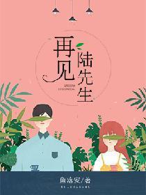 再见陆先生