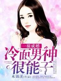 一撞成婚:冷面男神很能干