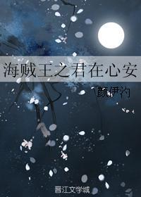 海贼王之君在心安
