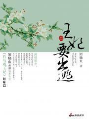 温柔王爷彪悍妃:王妃要出逃