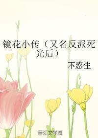 镜花小传