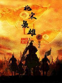 北宋枭雄