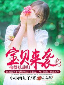 宝贝来袭,抱得总裁归