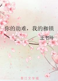 你的劫难,我的枷锁