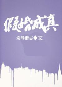 假婚成真