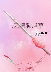 上天吧狗尾草